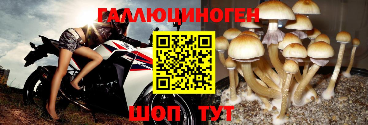 купить наркоту  Псилоцибиновые грибы Psilocybine cubensis  Вход с VPN  Уварово 
